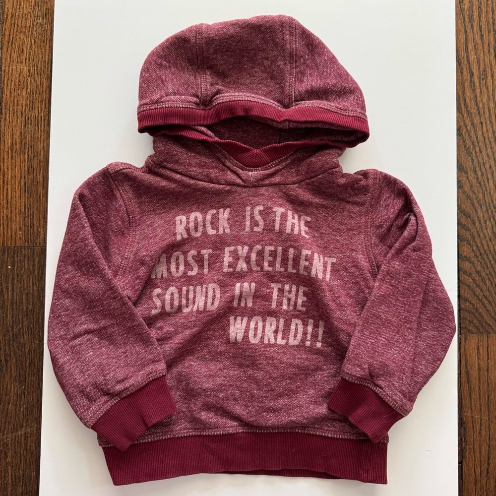 Zara Hoodie